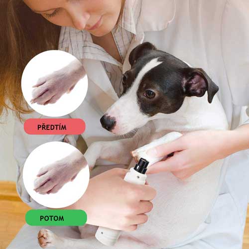 Profesionalni strižnik krempljev hišnih ljubljenčkov